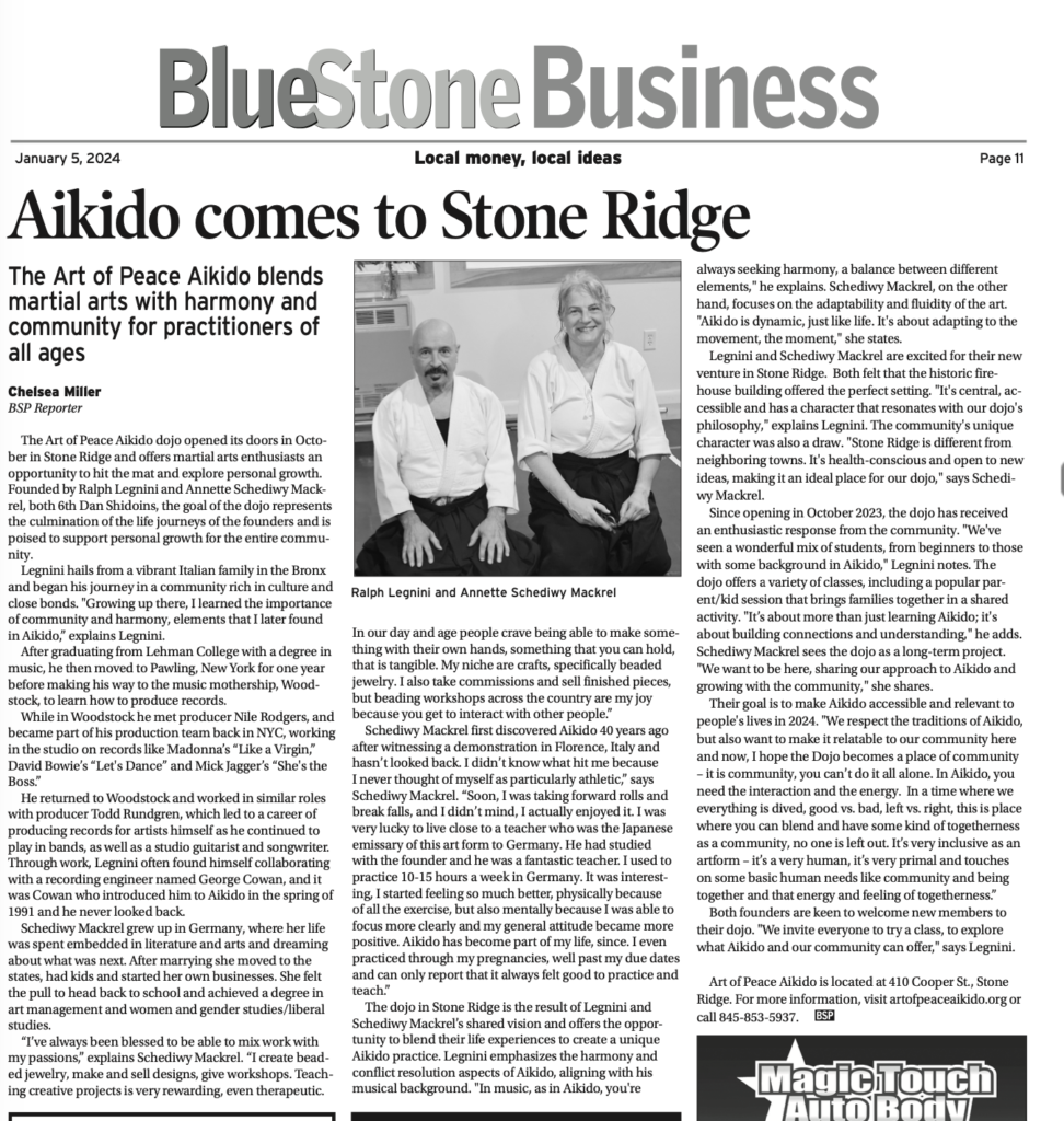 Article in the Blue Stone Press